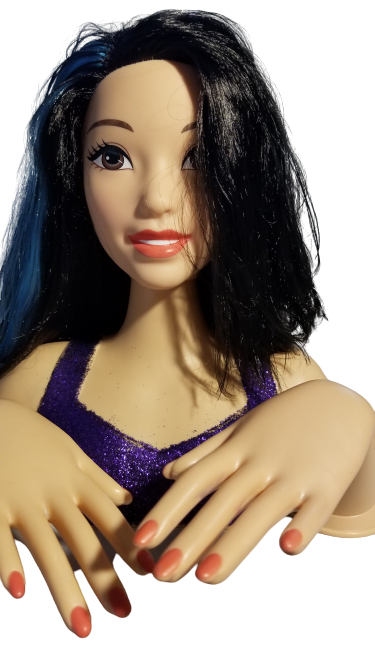 barbie flip and reveal styling head